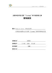 展翼队-天翼“飞young”营销策划方案