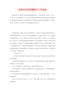 市场专员试用期转正工作总结