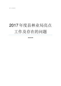 2017年度县林业局亮点工作及存在的问题2019年度