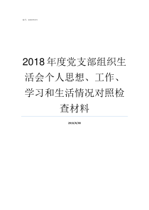 2018年度党支部组织生活会个人思想工作学习和生活情况对照检查材料总结2018年度党支部的工作