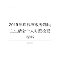 2019年巡视整改专题民主生活会个人对照检查材料2019巡视进入整改