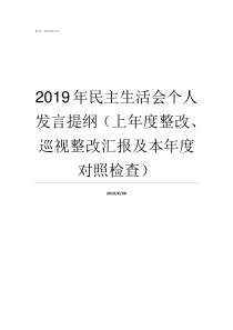 2019年民主生活会个人发言提纲上年度整改巡视整改汇报及本年度对照检查