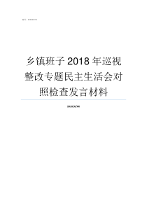 乡镇班子2018年巡视整改专题民主生活会对照检查发言材料