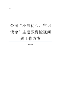 公司不忘初心牢记使命主题教育检视问题工作方案