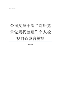 公司党员干部对照党章党规找差距个人检视自查发言材料党员与党员干部的区别