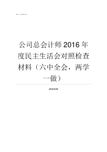公司总会计师2016年度民主生活会对照检查材料六中全会两学一做总会计师在公司的地位