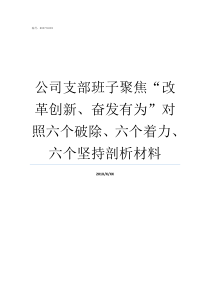 公司支部班子聚焦改革创新奋发有为对照六个破除六个着力六个坚持剖析材料对支部班子成员的意见