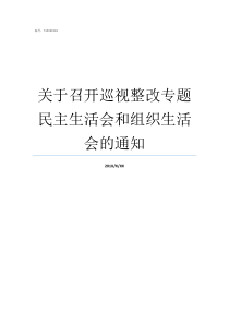 关于召开巡视整改专题民主生活会和组织生活会的通知巡视整改专题会