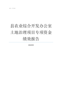 县农业综合开发办公室土地治理项目专项资金绩效报告河南省农开公司董事长