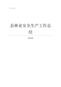 县林业安全生产工作总结