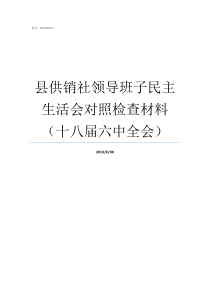 县供销社领导班子民主生活会对照检查材料十八届六中全会