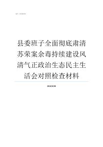 县委班子全面彻底肃清苏荣案余毒持续建设风清气正政治生态民主生活会对照检查材料班子