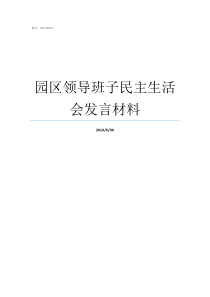 园区领导班子民主生活会发言材料苏州园区领导班子