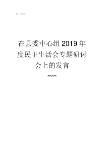 在县委中心组2019年度民主生活会专题研讨会上的发言2019年7月中心组