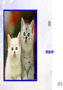 七年级语文下册 第六单元 第26课《猫》课件 人教新课标版