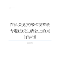 在机关党支部巡视整改专题组织生活会上的点评讲话巡视整改要求