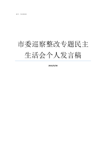 市委巡察整改专题民主生活会个人发言稿