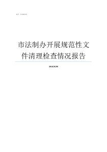 市法制办开展规范性文件清理检查情况报告