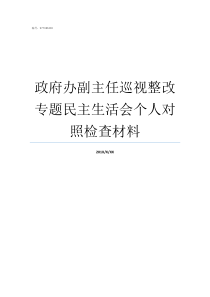 政府办副主任巡视整改专题民主生活会个人对照检查材料省委巡视办主任什么级别