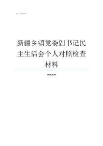 新疆乡镇党委副书记民主生活会个人对照检查材料