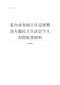 某办业务副主任巡视整改专题民主生活会个人对照检查材料省委巡视办副主任