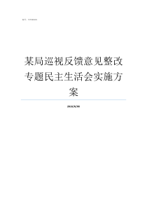 某局巡视反馈意见整改专题民主生活会实施方案