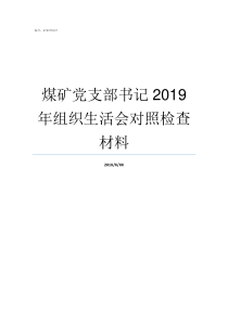 煤矿党支部书记2019年组织生活会对照检查材料煤矿党支部书记职责