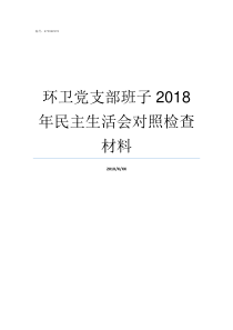 环卫党支部班子2018年民主生活会对照检查材料党支部委员