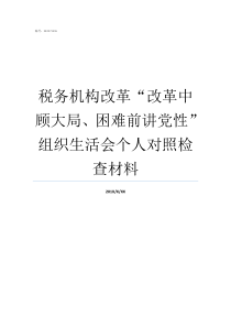 税务机构改革改革中顾大局困难前讲党性组织生活会个人对照检查材料税务机构改革四合