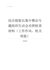 综合股股长集中整治专题组织生活会对照检查材料工作作风机关效能