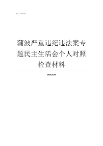 蒲波严重违纪违法案专题民主生活会个人对照检查材料蒲波案报告