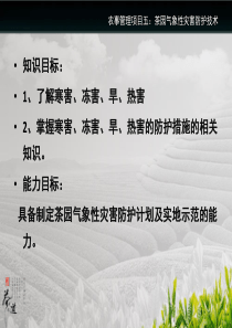 农事管理项目五茶树气象性灾害防护技术