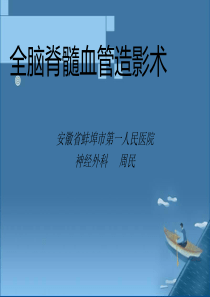 全脑全脊髓血管造影
