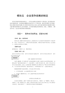 企业竞争战略的制定