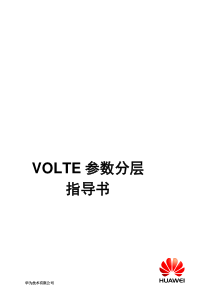 VOLTE参数分层指导书