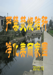 严禁焚烧秸秆净化美丽家园.ppt