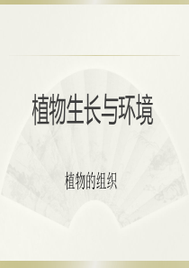第二章-植物上生长与环境-组织