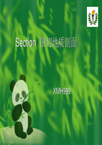 利用Section_图切地质剖面