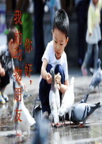 小学四年级作文——我喜欢的小动物