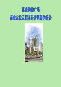 嘉盛商业广场商业定位及经营思路