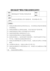 国投创益资产管理公司副总经理岗位说明书