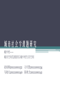 城市社会学课题研究