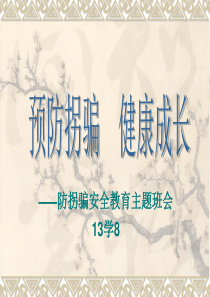 防拐骗主题班会