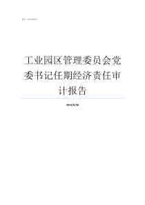 工业园区管理委员会党委书记任期经济责任审计报告