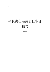 镇长离任经济责任审计报告