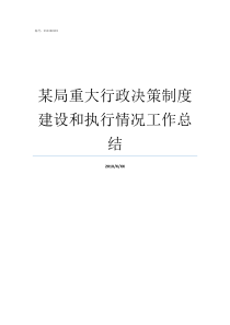 某局重大行政决策制度建设和执行情况工作总结行政决策的制度