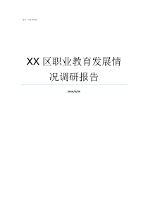 XX区职业教育发展情况调研报告