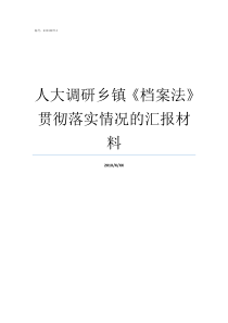 人大调研乡镇档案法贯彻落实情况的汇报材料乡镇人大代表