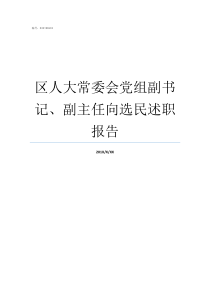 区人大常委会党组副书记副主任向选民述职报告