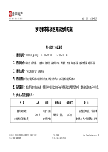 样板区开放活动方案